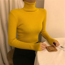Women's Fitted Turtleneck Sweater — View 6
