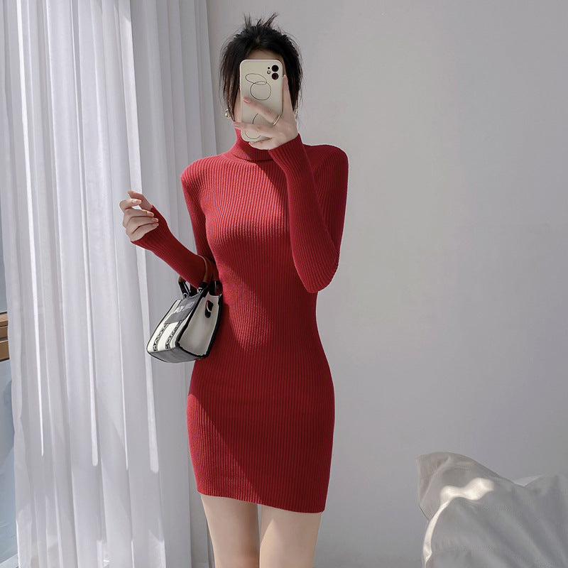 Women's Turtleneck Sweater Dress — View 9