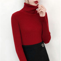 Women's Fitted Turtleneck Sweater — View 6