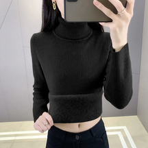 Women's Ribbed Turtleneck Sweater — View 9