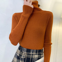 Women's Fitted Turtleneck Sweater — View 5