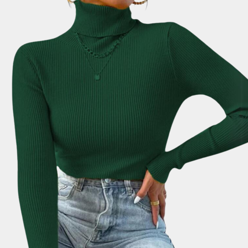 Women's Ribbed Turtleneck Sweater — View 5