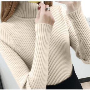 Women's Ribbed Textured Turtleneck Sweater — View 10