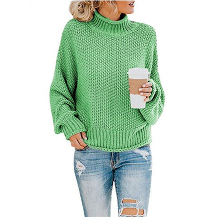 Women's Relaxed Fit Chunky Knit Turtleneck Sweater — View 15