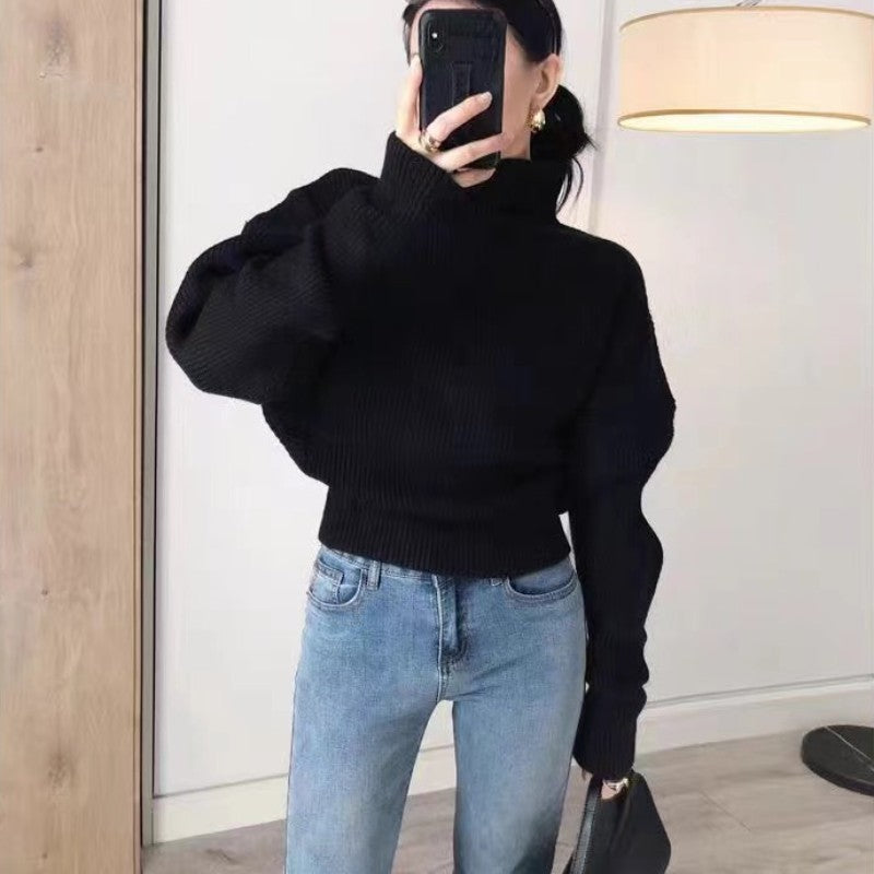 Women's Ribbed Textured Turtleneck Sweater — View 4