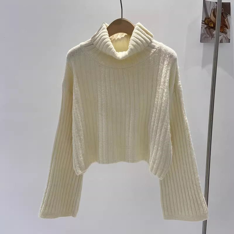 Women's Textured Turtleneck Sweater — View 6