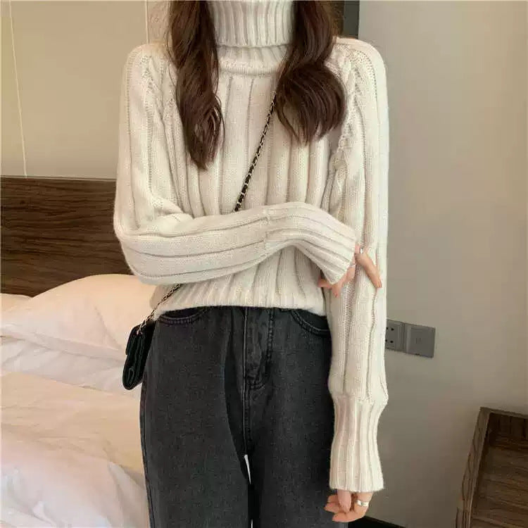 Women's Ribbed Turtleneck Sweater — View 4