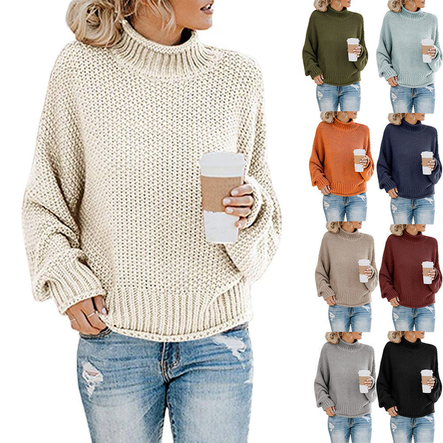 Women's Relaxed Fit Chunky Knit Turtleneck Sweater — View 1