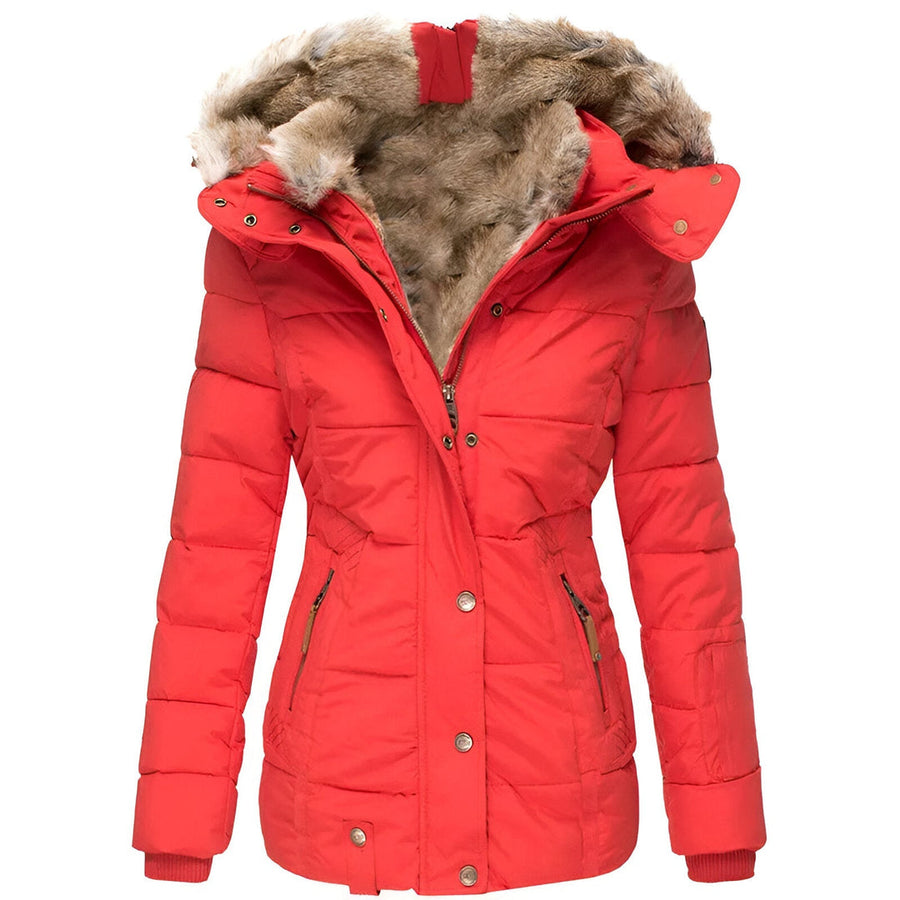 Women's Fitted Hooded Winter Jacket | Bettina in Black - Juana Fashion